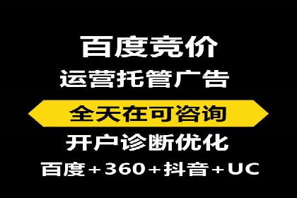 SEM专员的角色与成功案例解析